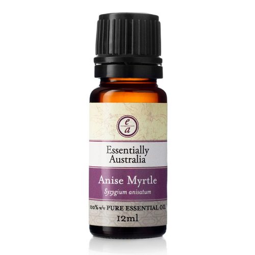 Anise Myrtle Essential Oil, Aniseed Myrtle, Australian Aniseed Myrtle Essential oil, anise myrtle essential oil uses