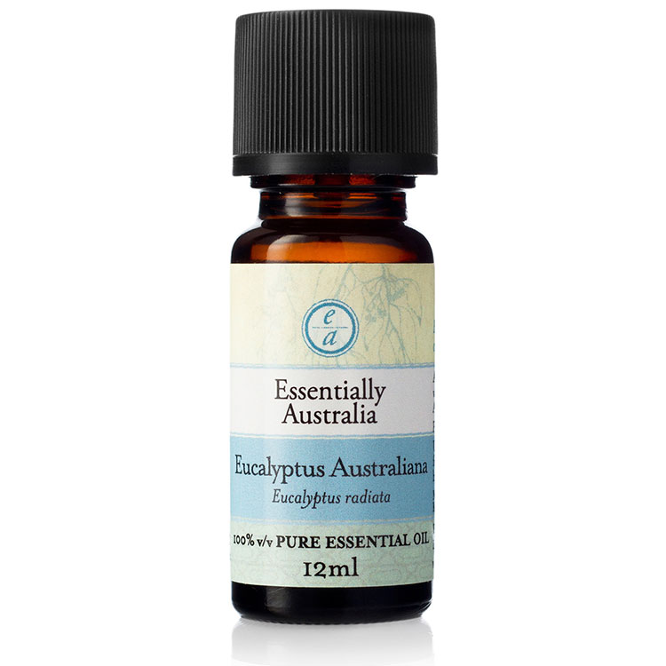 Få Kælder bibliotek Eucalyptus Australiana Esssential Oil | Essentially Australia