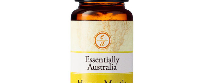 Australian Honey Myrtle essential oil, Honey Myrtle Essential Oil, honey myrtle oil, honey scented oil, honey myrtle