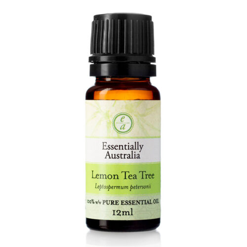 Lemon Tea Tree Essential Oil, lemon scented tea tree, lemon tea tree, lemon tea tree oil