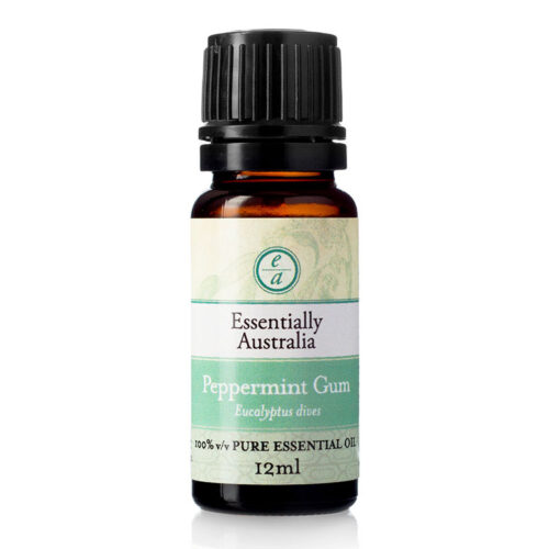 Eucalyptus Peppermint Gum Essential Oil | Essentially Australia, Eucalyptus peppermint gum essential oil, Australian peppermint gum, peppermint gum oil benefits, peppermint gum oil uses