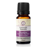 Rosalina Essential Oil (Lavender Tea Tree Essential Oil)