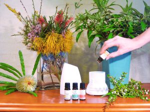 rosalina essential oil