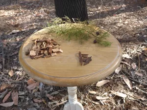 Australain Blue Cypress - leaves, timber and bark chips