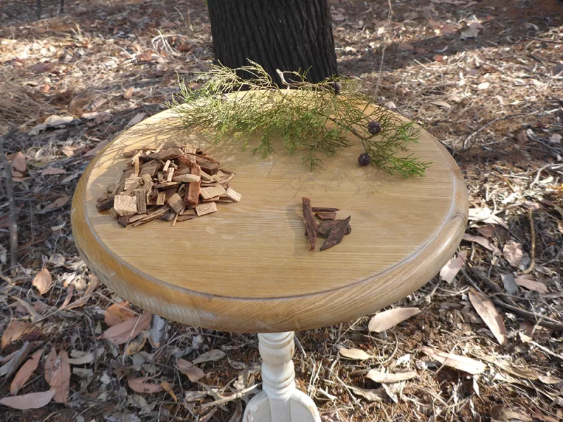 Australain Blue Cypress - leaves, timber and bark chips