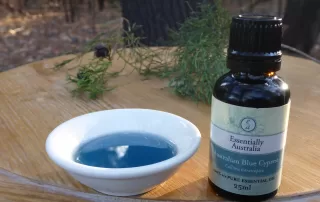 Australian Blue Cypress Essential Oil