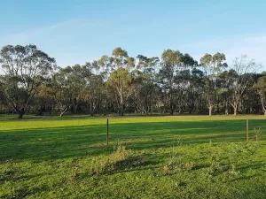 Eucalyptus Peppermint Essential Oil
