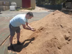 Australian Sandalwood Essential Oil